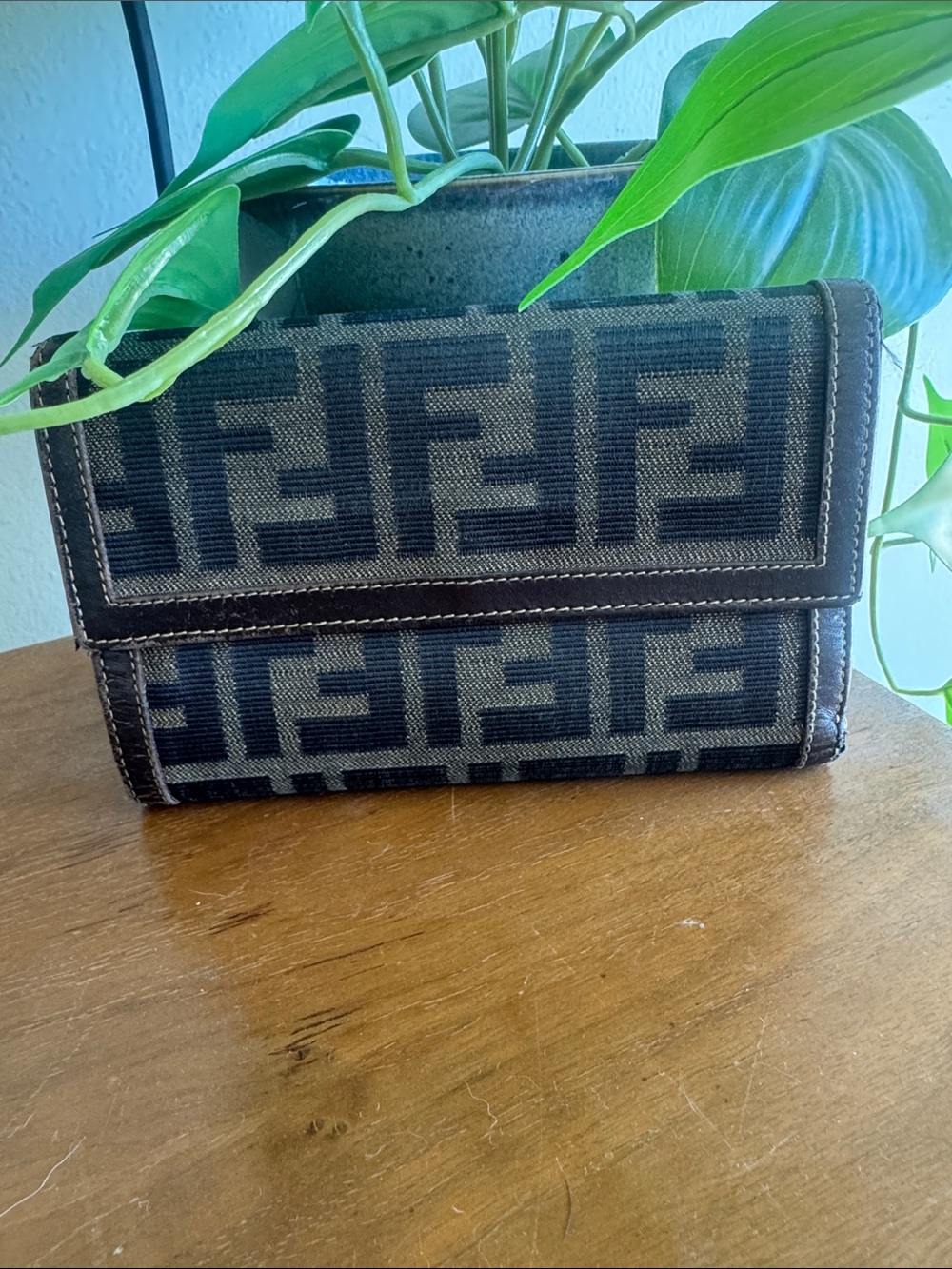 Fendi FF Logo Canvas Wallet in Brown and Black